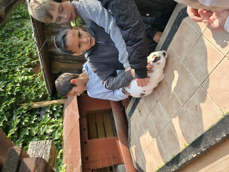 ff370a3d-e2c9-49cd-a1b4-df6fbc99d58f-1_all_26680