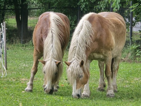 ff370a3d-e2c9-49cd-a1b4-df6fbc99d58f-1_all_26488