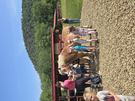 ff370a3d-e2c9-49cd-a1b4-df6fbc99d58f-1_all_26538