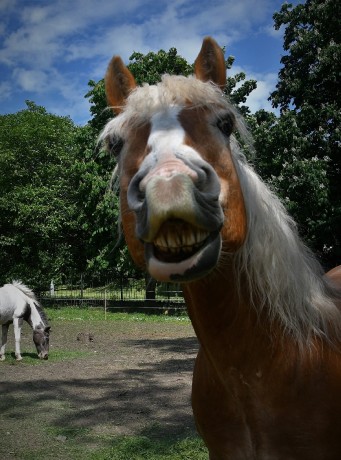 ff370a3d-e2c9-49cd-a1b4-df6fbc99d58f-1_all_26338