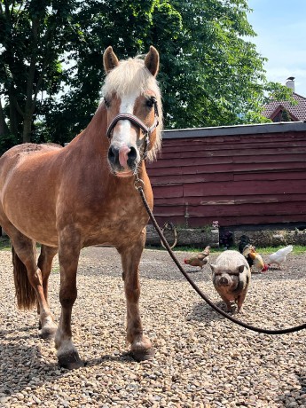 ff370a3d-e2c9-49cd-a1b4-df6fbc99d58f-1_all_25998