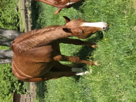 ff370a3d-e2c9-49cd-a1b4-df6fbc99d58f-1_all_25429