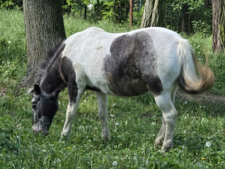 ff370a3d-e2c9-49cd-a1b4-df6fbc99d58f-1_all_25441