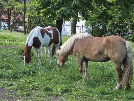 ff370a3d-e2c9-49cd-a1b4-df6fbc99d58f-1_all_25444