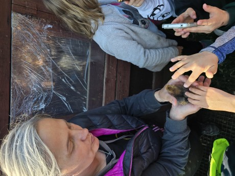 ff370a3d-e2c9-49cd-a1b4-df6fbc99d58f-1_all_25533