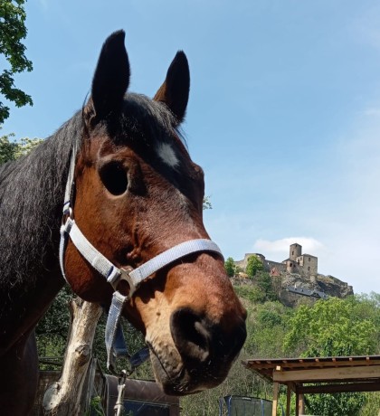 504603387_10227087439564341_4091043672116127049_n