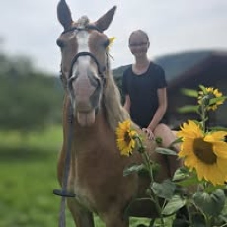 530179791_1176821507808001_3605888724855741432_n