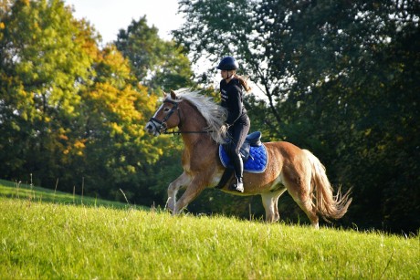 492450642_10226579316581584_5385616060076918896_n