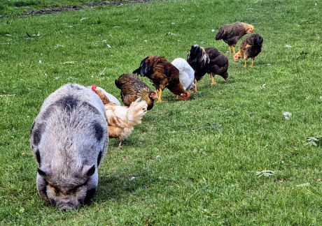 ff370a3d-e2c9-49cd-a1b4-df6fbc99d58f-1_all_35254