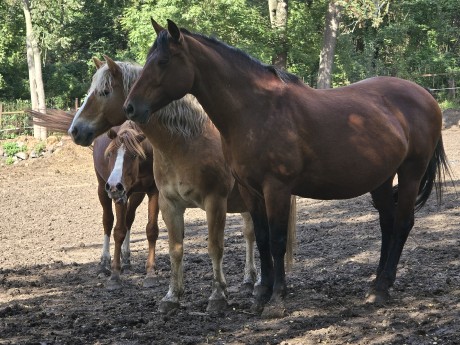 ff370a3d-e2c9-49cd-a1b4-df6fbc99d58f-1_all_35130