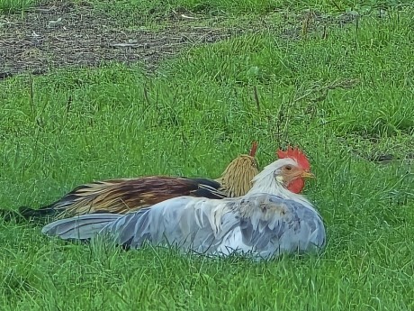 ff370a3d-e2c9-49cd-a1b4-df6fbc99d58f-1_all_34891