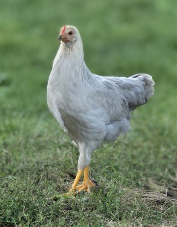 ff370a3d-e2c9-49cd-a1b4-df6fbc99d58f-1_all_34642