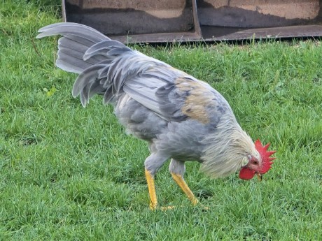 ff370a3d-e2c9-49cd-a1b4-df6fbc99d58f-1_all_34639