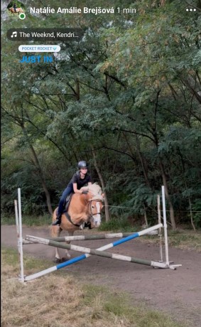 ff370a3d-e2c9-49cd-a1b4-df6fbc99d58f-1_all_33981