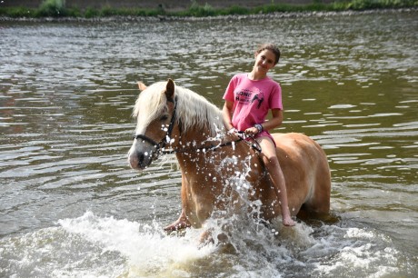 ff370a3d-e2c9-49cd-a1b4-df6fbc99d58f-1_all_33722