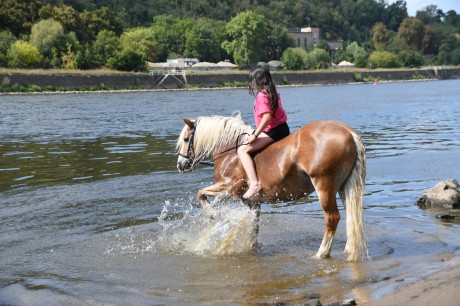 ff370a3d-e2c9-49cd-a1b4-df6fbc99d58f-1_all_33739