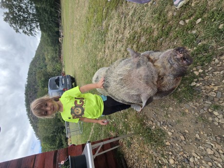 ff370a3d-e2c9-49cd-a1b4-df6fbc99d58f-1_all_33637