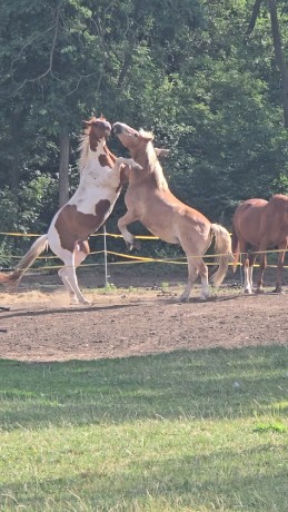 ff370a3d-e2c9-49cd-a1b4-df6fbc99d58f-1_all_27839