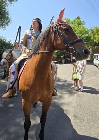 ff370a3d-e2c9-49cd-a1b4-df6fbc99d58f-1_all_26971