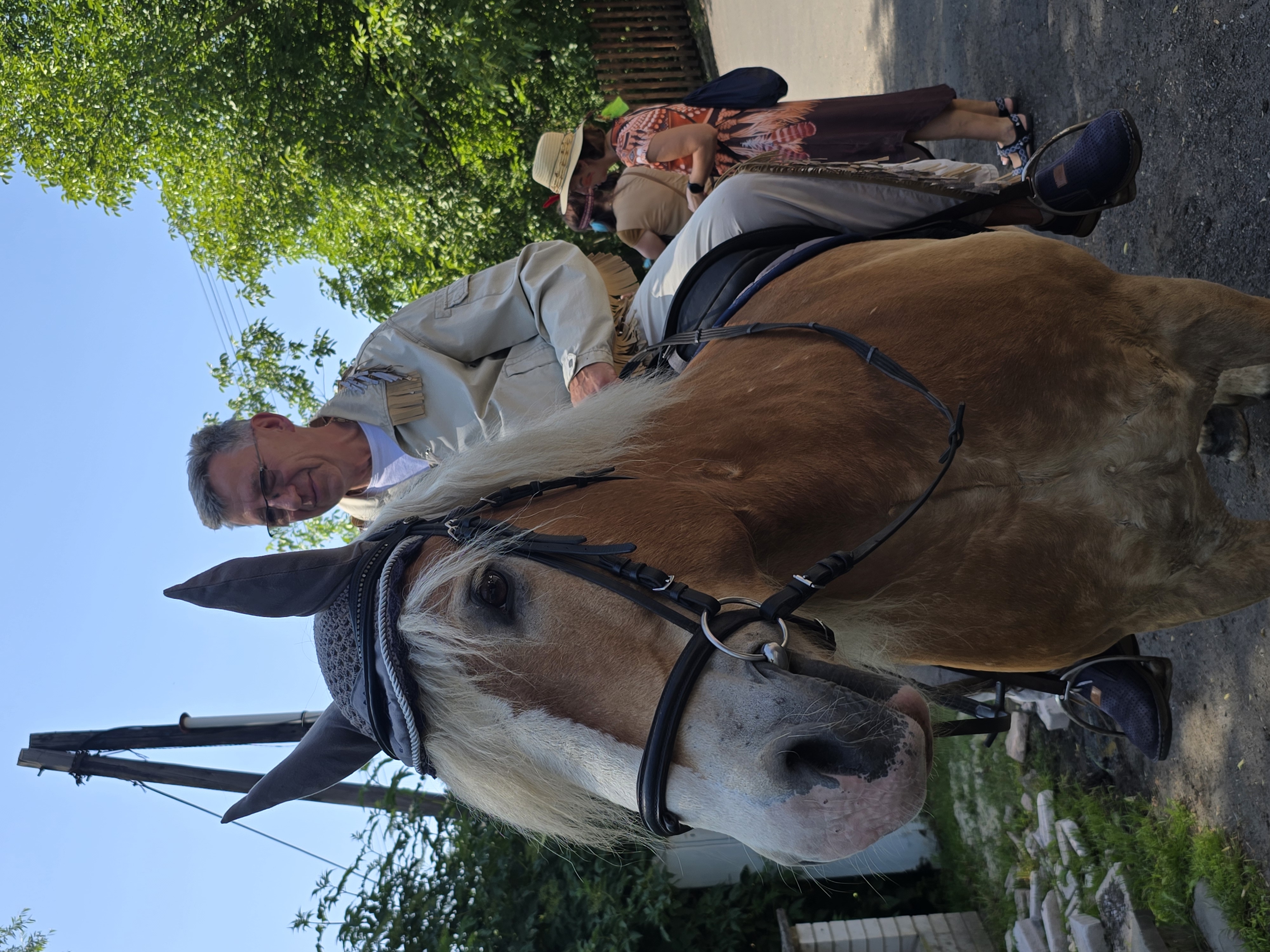 ff370a3d-e2c9-49cd-a1b4-df6fbc99d58f-1_all_26980