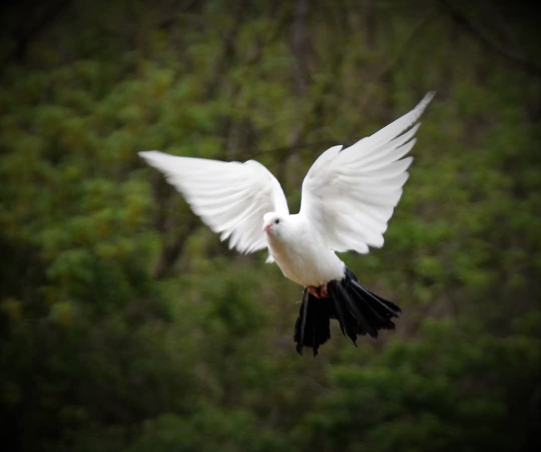 ff370a3d-e2c9-49cd-a1b4-df6fbc99d58f-1_all_25570