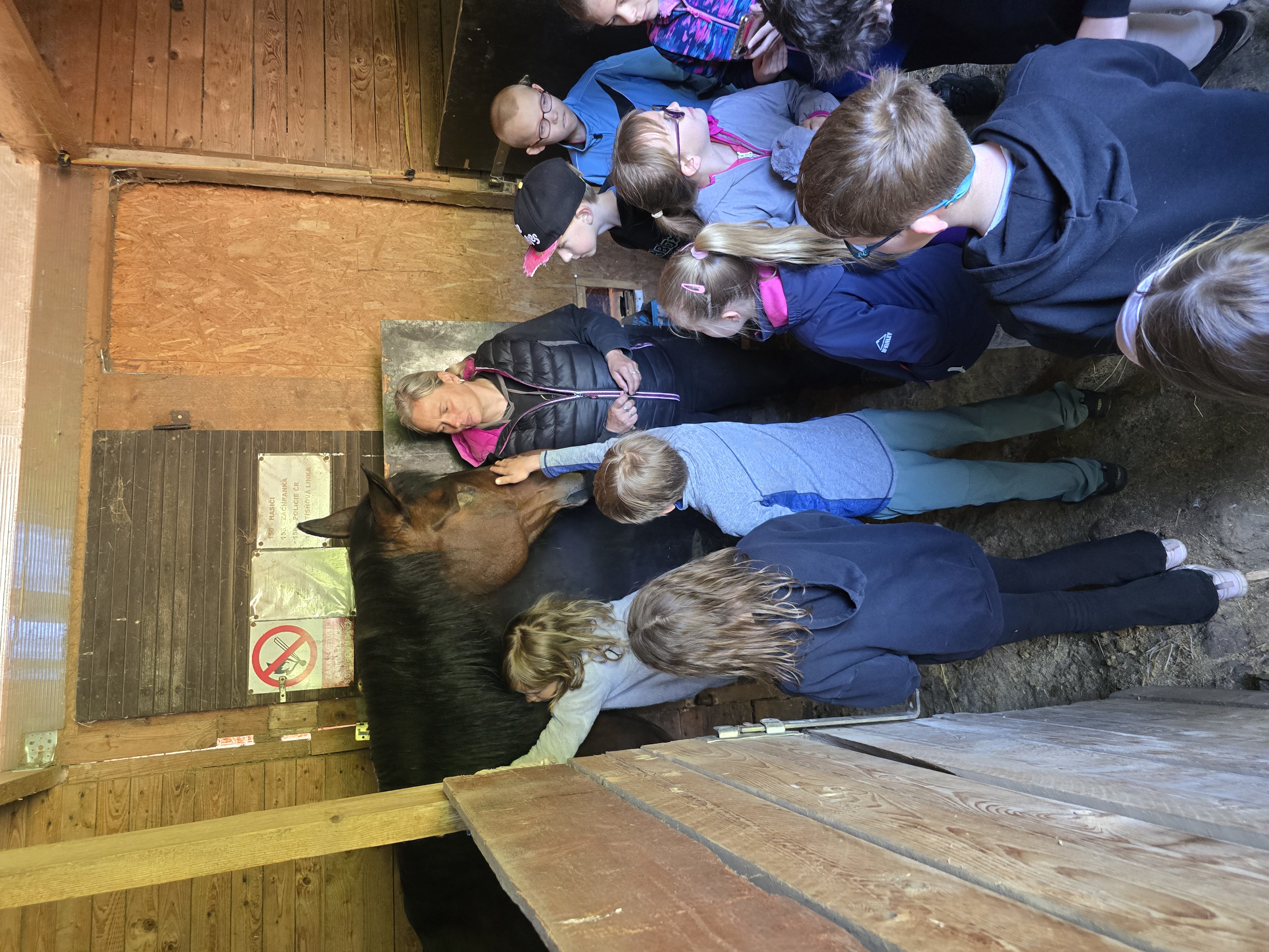 ff370a3d-e2c9-49cd-a1b4-df6fbc99d58f-1_all_25510