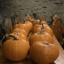 485143994_1068722921951194_2346864860421738380_n