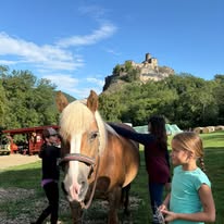 522265317_1163325595824259_3521231698236440806_n