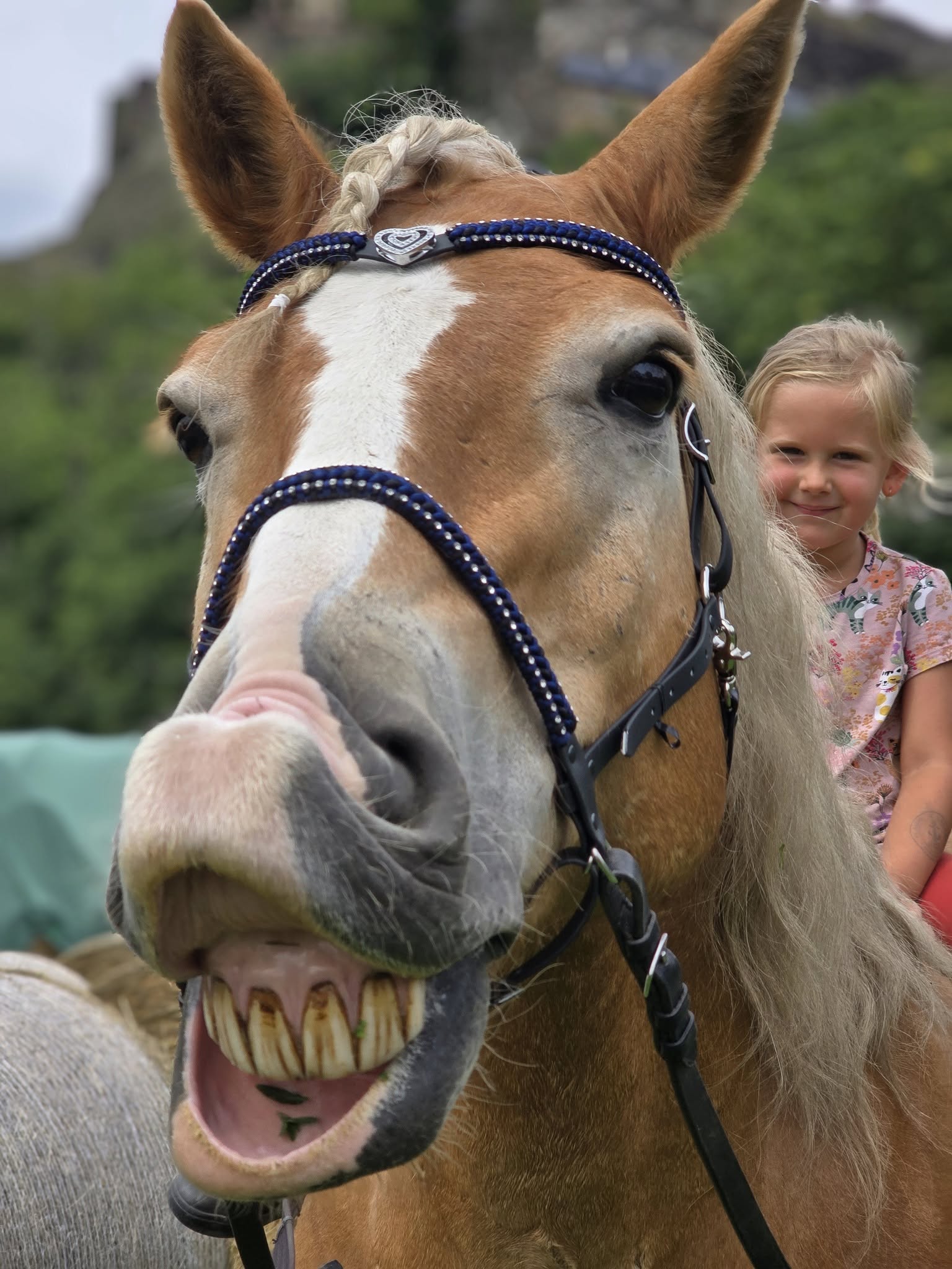 522825302_1165097675647051_4200147145779191524_n