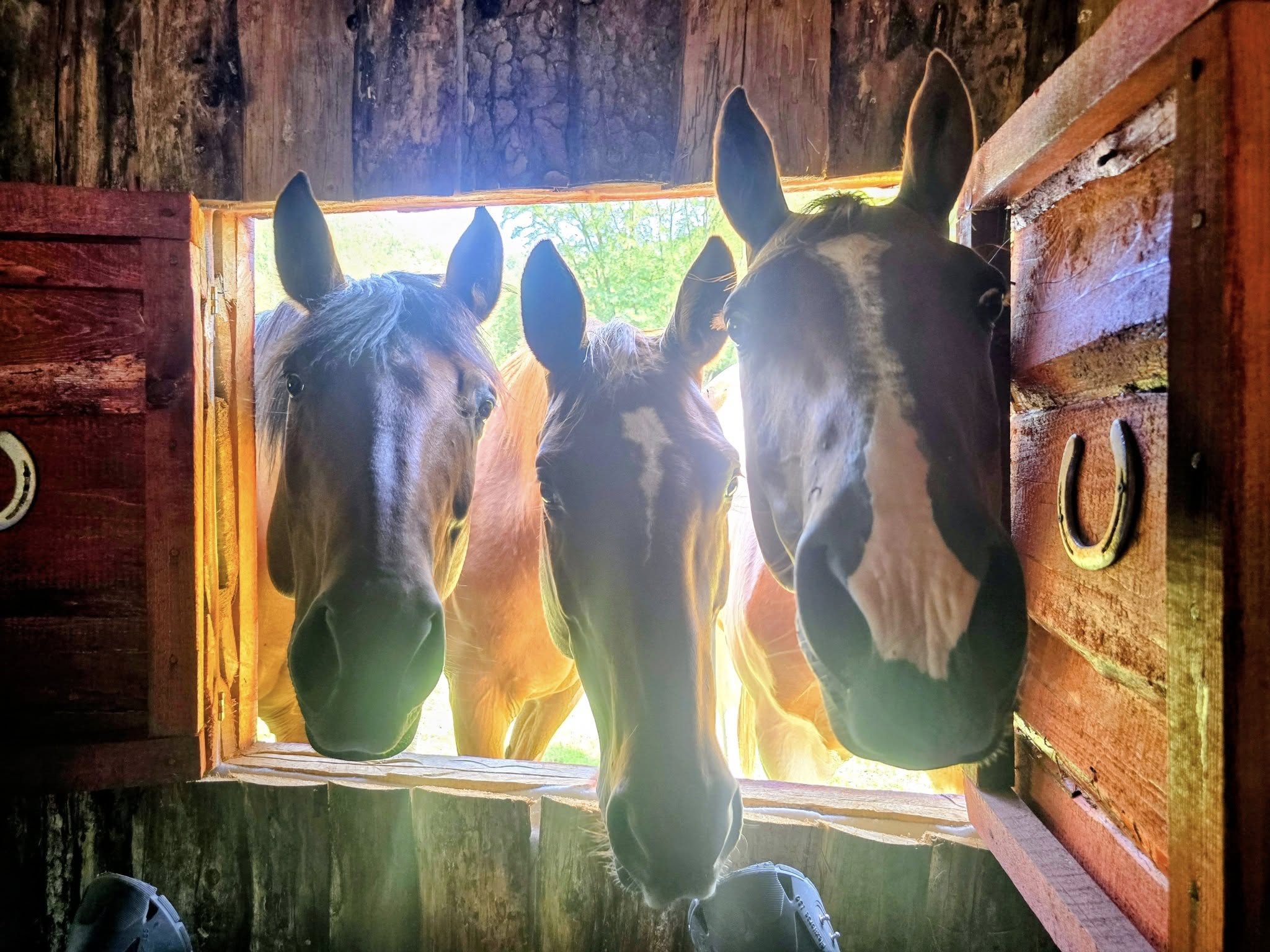 532236307_10227825214128244_2549553539952659298_n