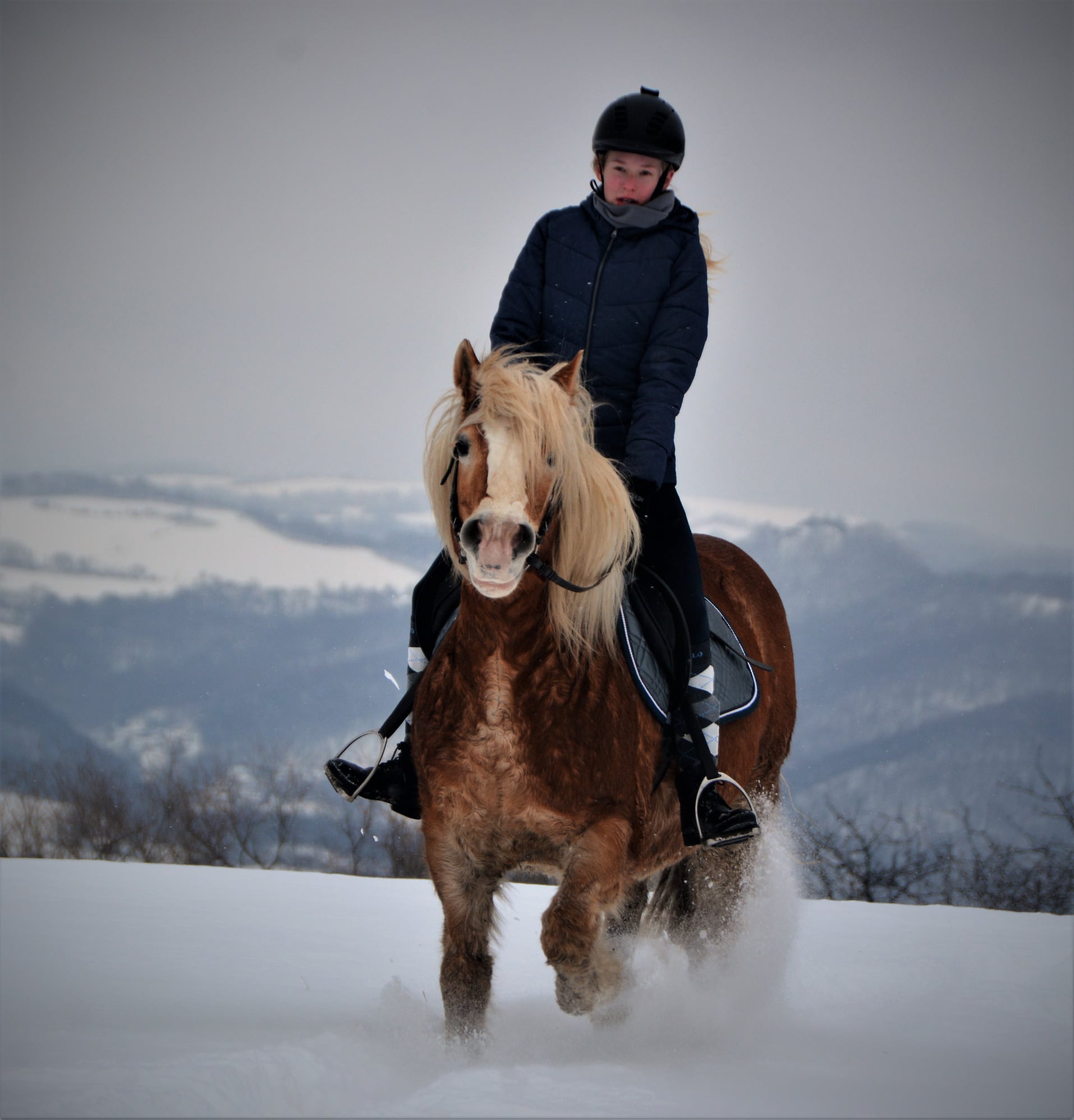 150637736_10217763485791324_8108807620050064449_n