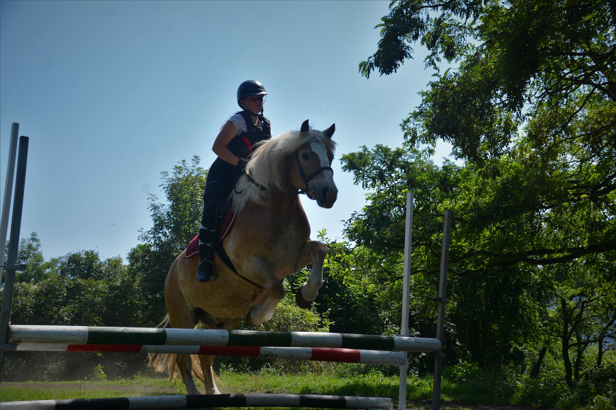 474477550_10225805276031054_3003396549004880438_n