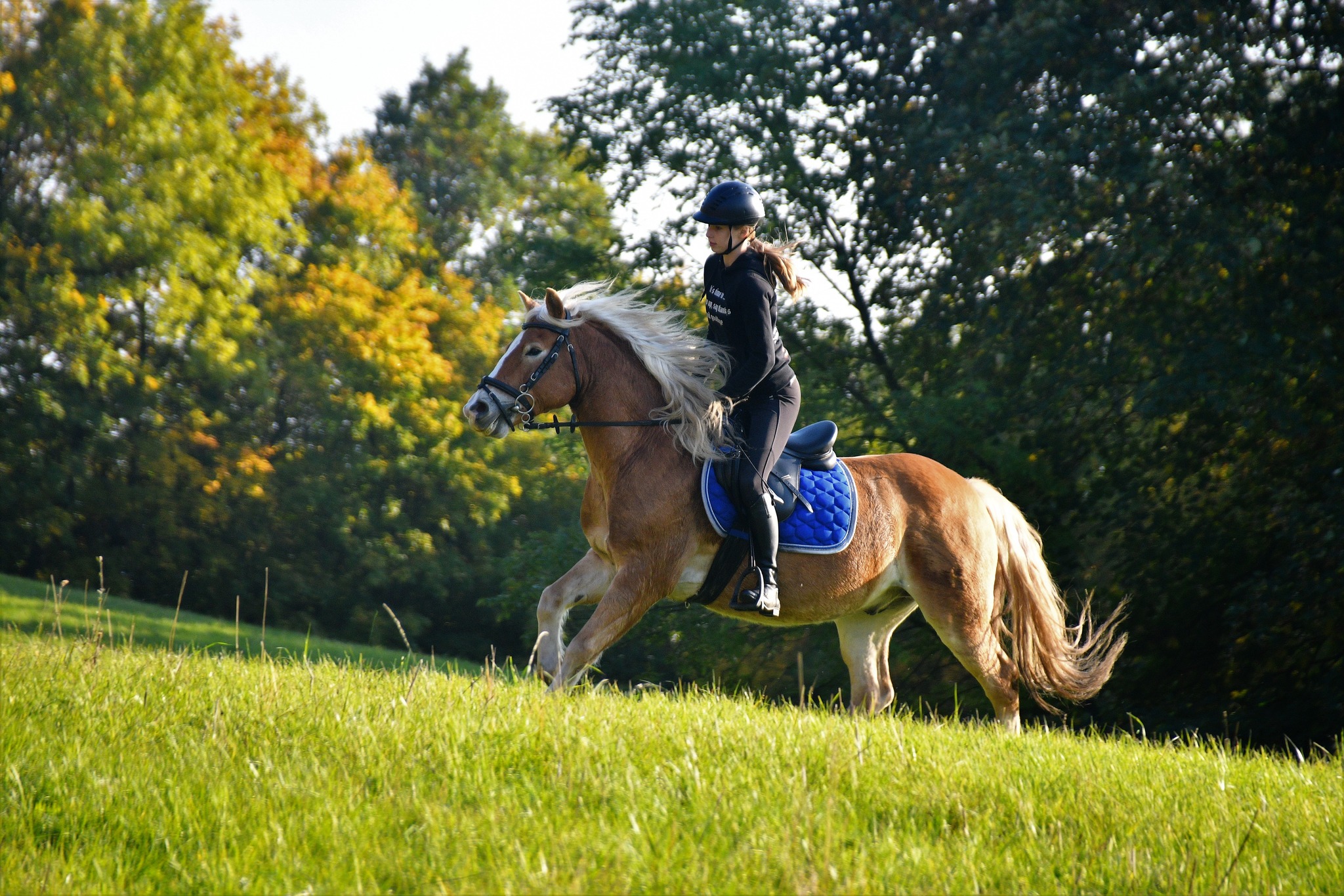 492450642_10226579316581584_5385616060076918896_n