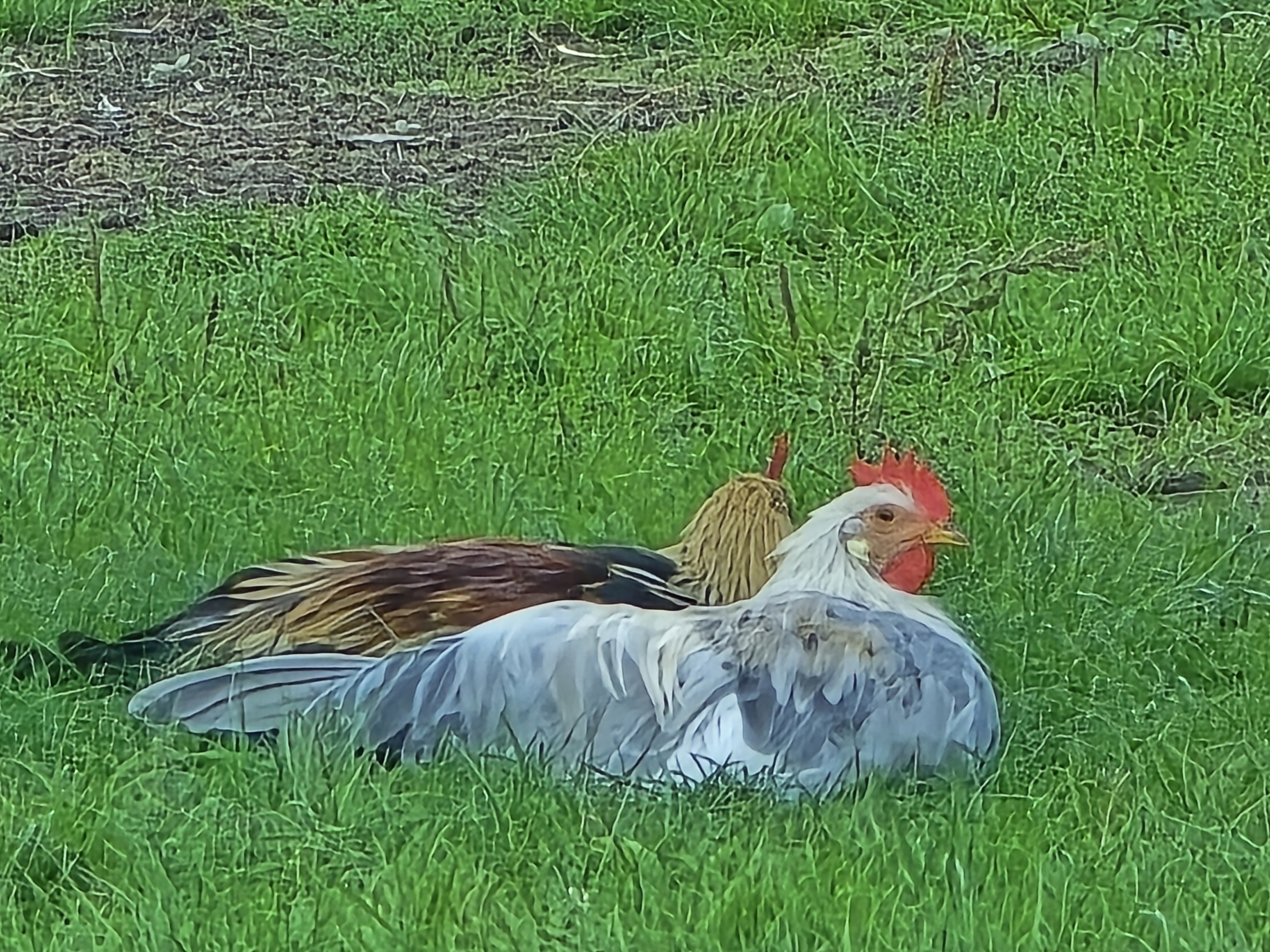 ff370a3d-e2c9-49cd-a1b4-df6fbc99d58f-1_all_34891