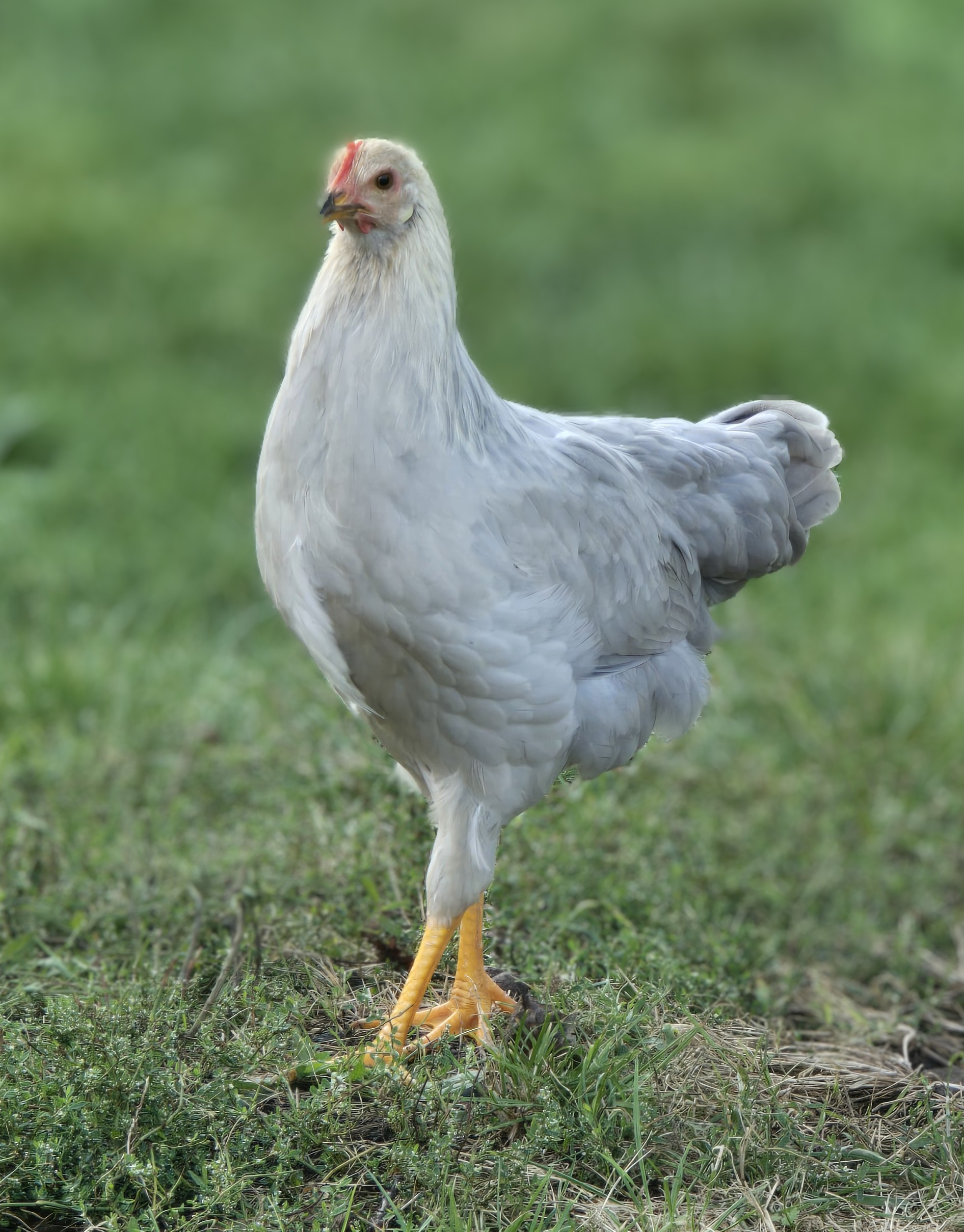 ff370a3d-e2c9-49cd-a1b4-df6fbc99d58f-1_all_34642