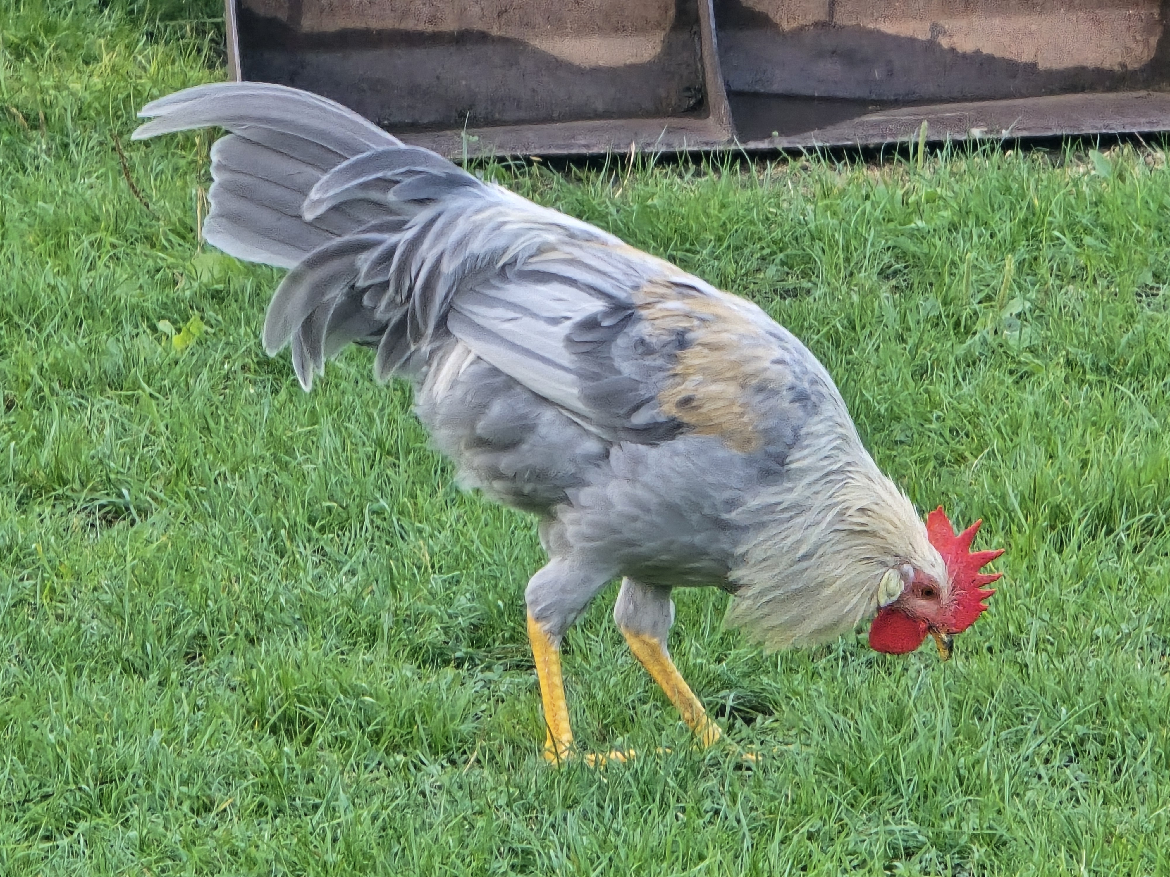 ff370a3d-e2c9-49cd-a1b4-df6fbc99d58f-1_all_34639