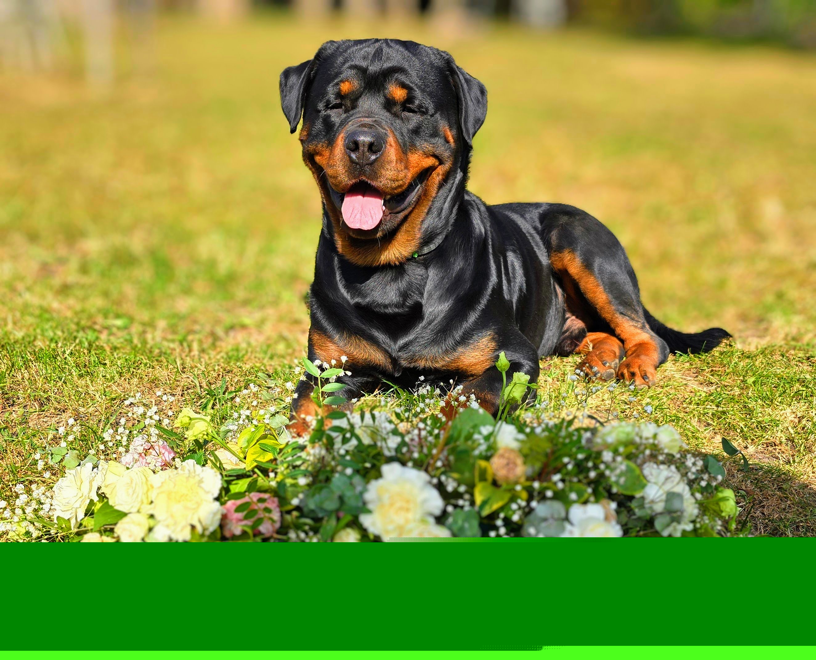 ff370a3d-e2c9-49cd-a1b4-df6fbc99d58f-1_all_33842