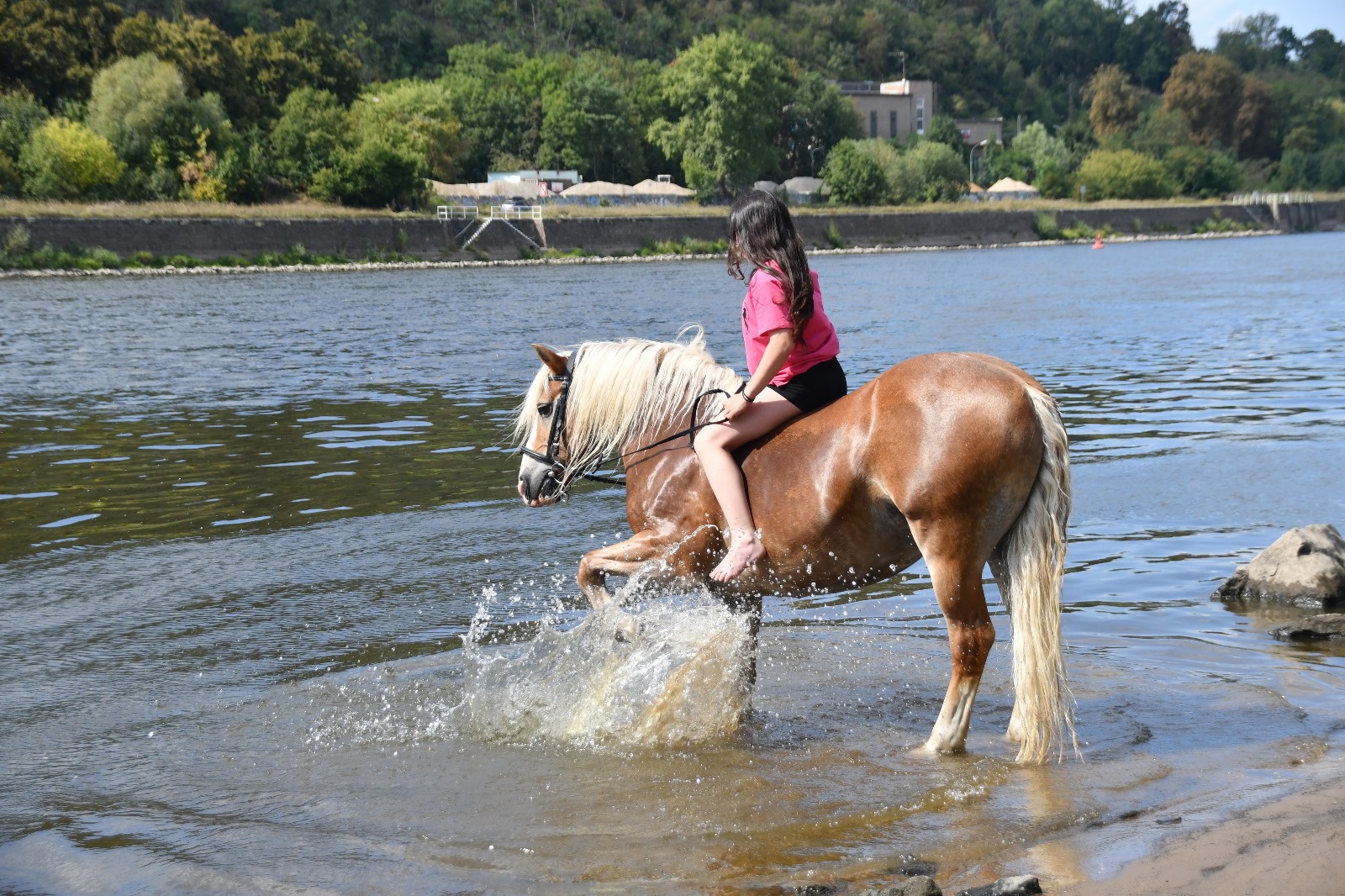 ff370a3d-e2c9-49cd-a1b4-df6fbc99d58f-1_all_33739