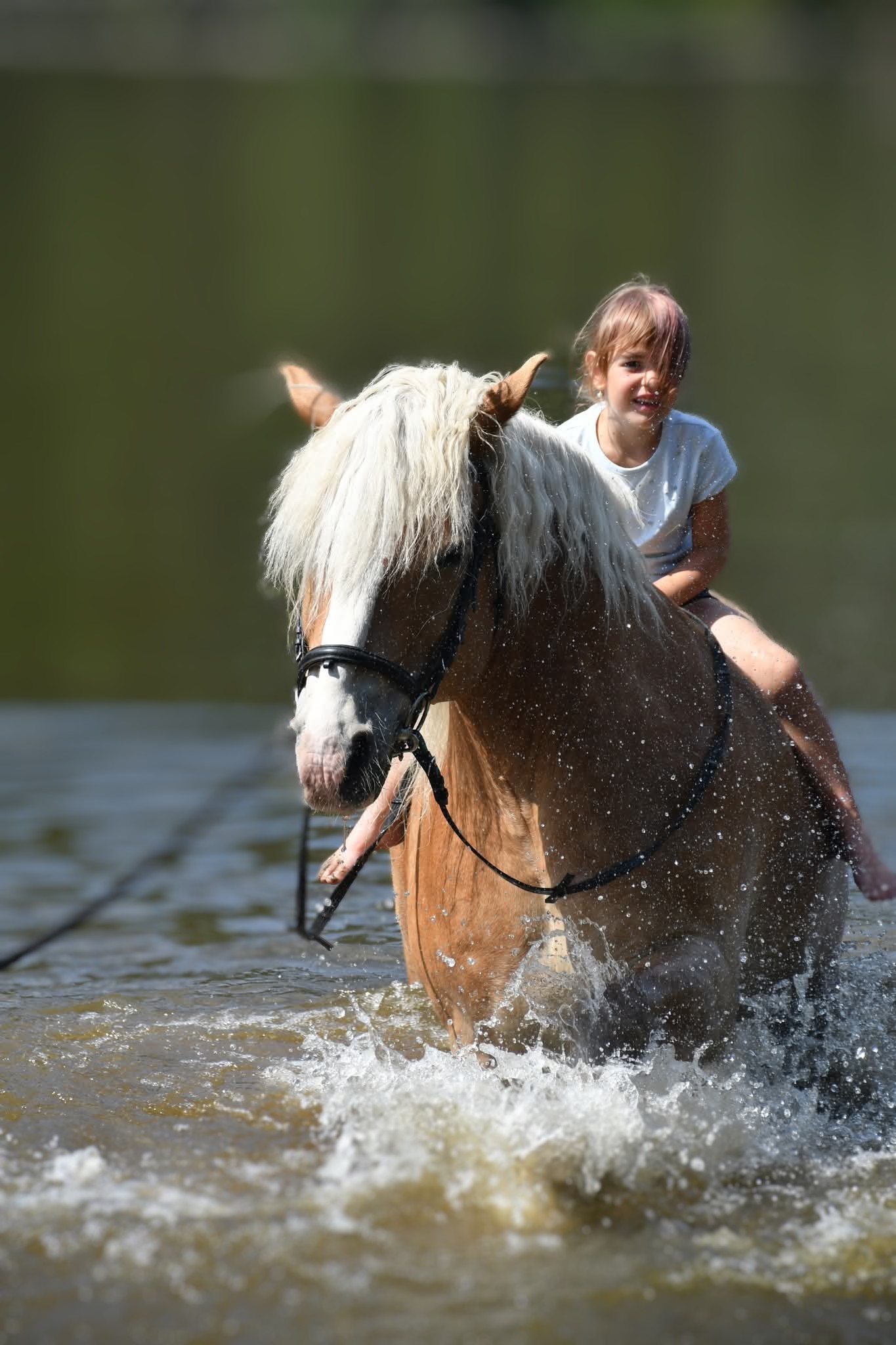 ff370a3d-e2c9-49cd-a1b4-df6fbc99d58f-1_all_33555