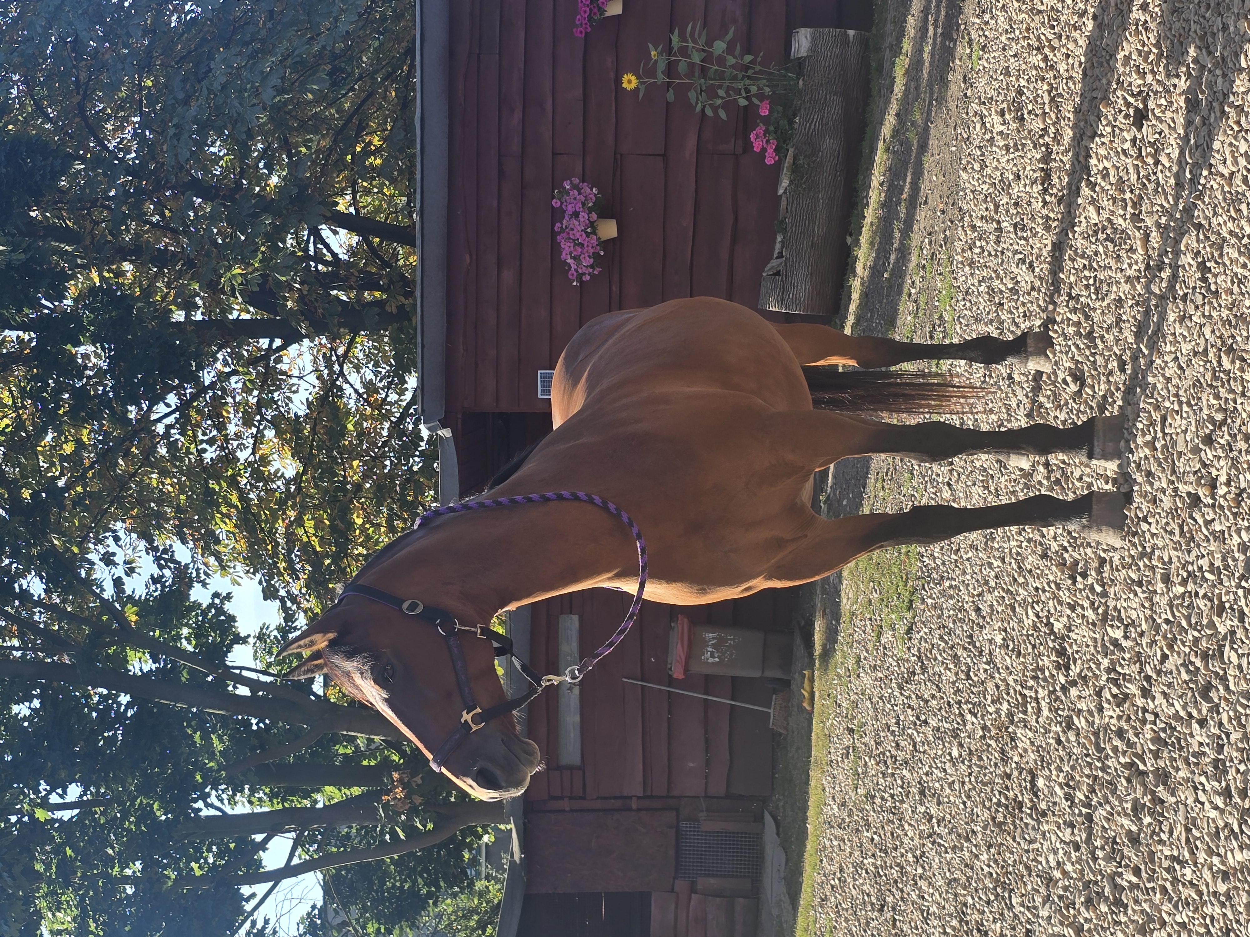 ff370a3d-e2c9-49cd-a1b4-df6fbc99d58f-1_all_33384