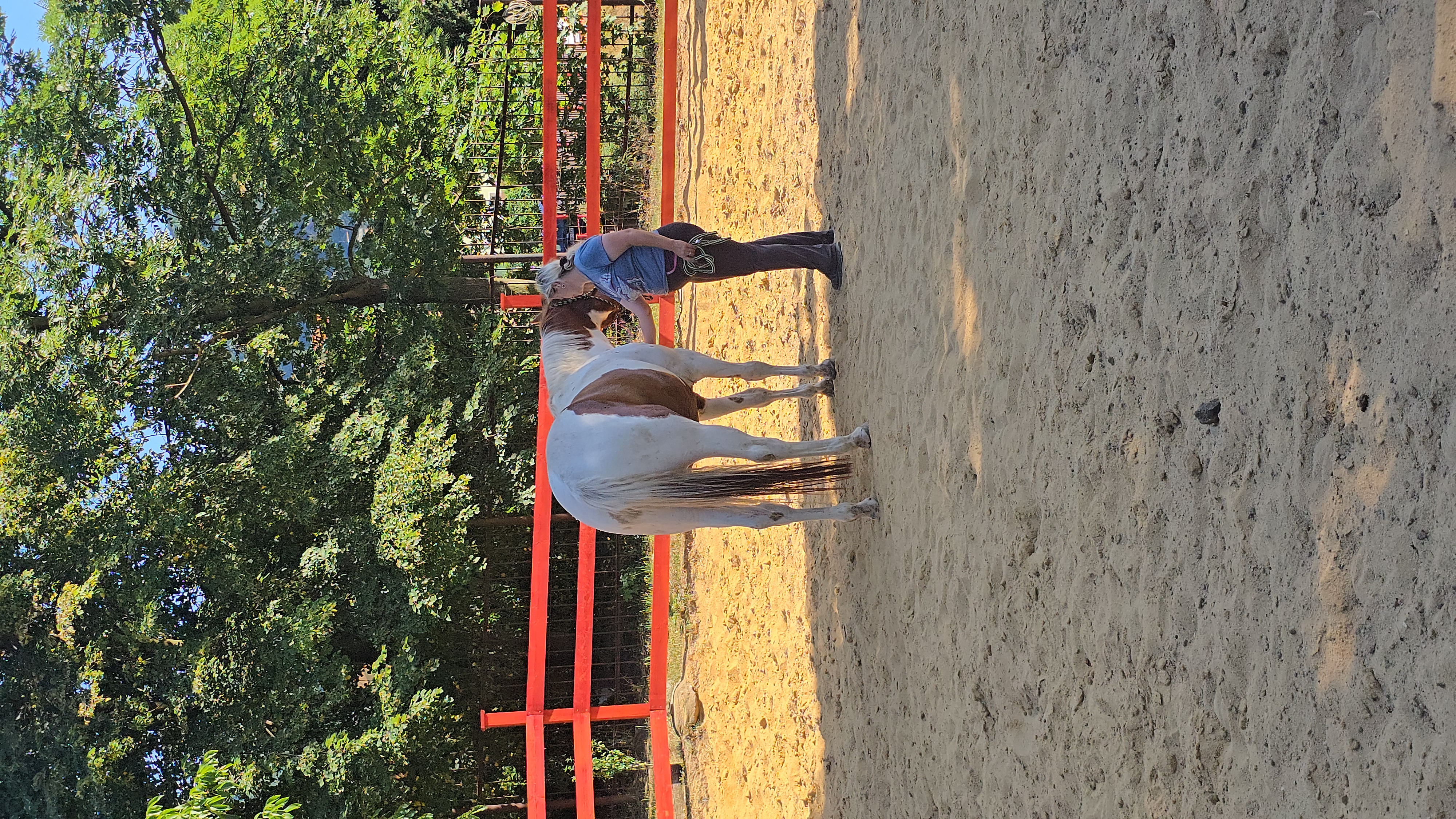 ff370a3d-e2c9-49cd-a1b4-df6fbc99d58f-1_all_28089